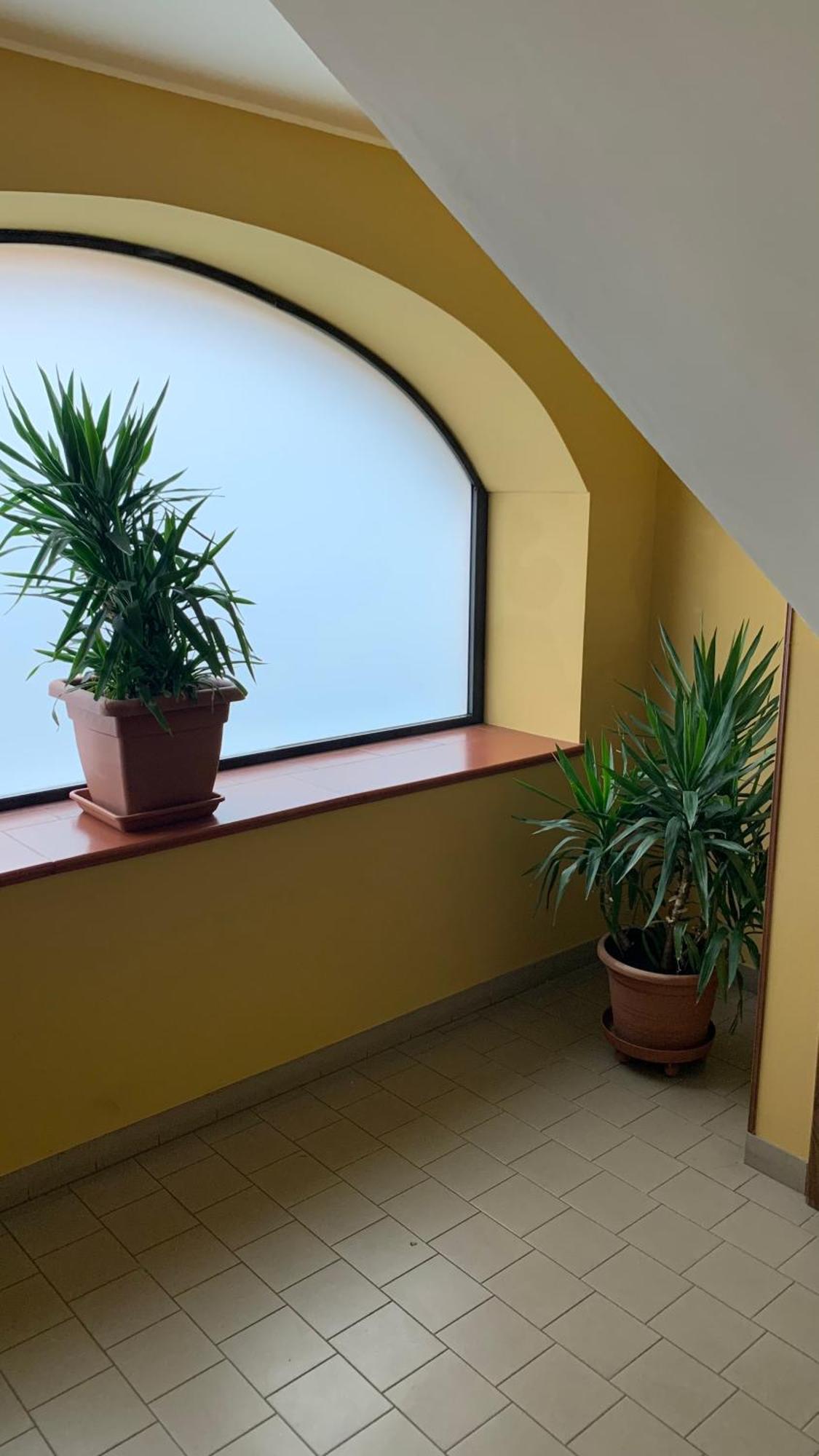 Candelo Bb Borgo Biella Treeヴィラ エクステリア 写真